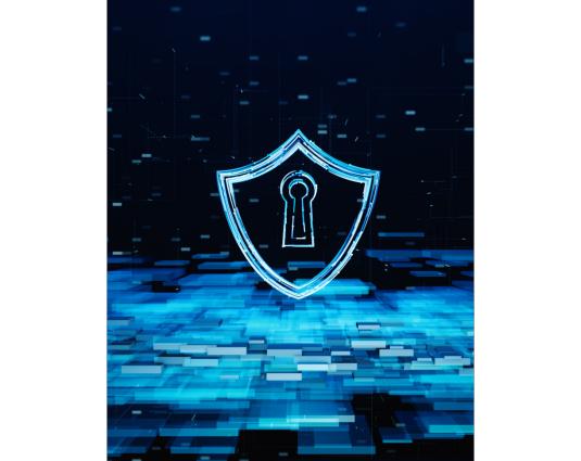Cyber Security Training